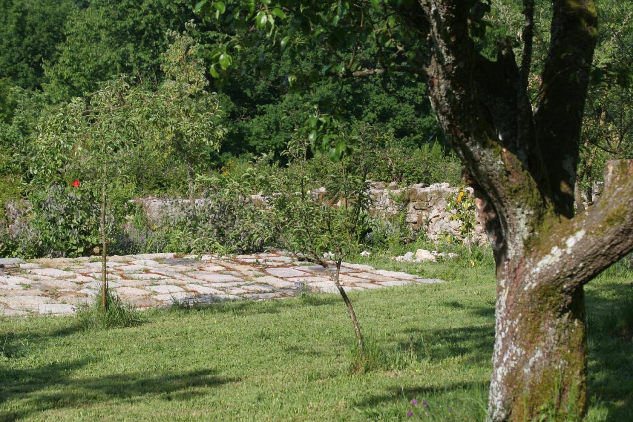 Pazo De Chaioso Ribeira Sacra Maceda Exteriör bild