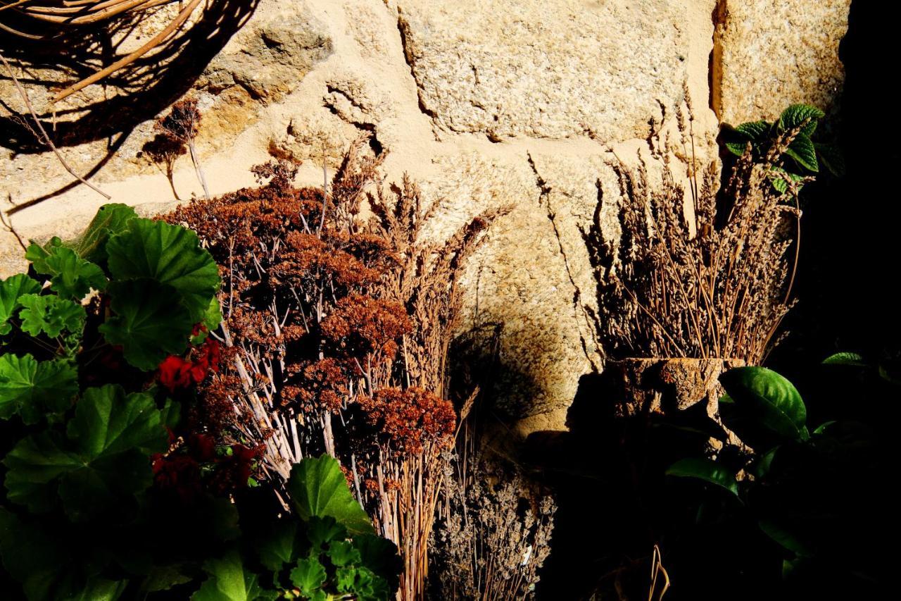Pazo De Chaioso Ribeira Sacra Maceda Exteriör bild